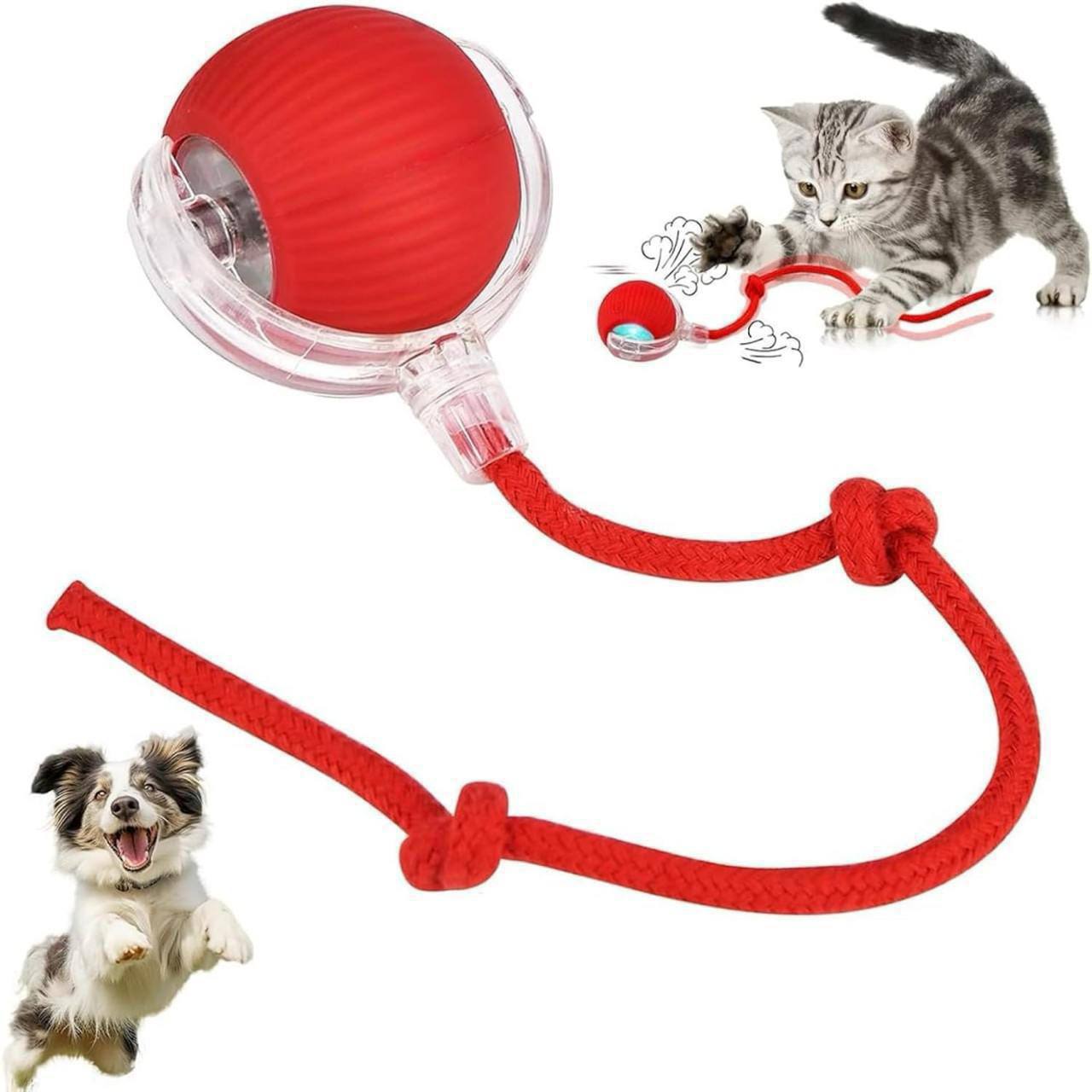 Active Rolling Ball for Kitten & Dogs