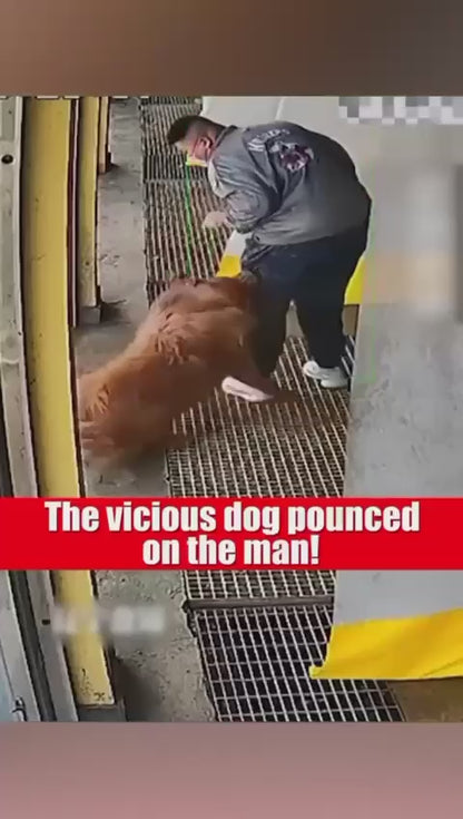 Super Ultrasonic Dog Chaser