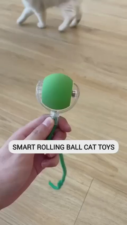 Rechargeable Interactive Cat Collar